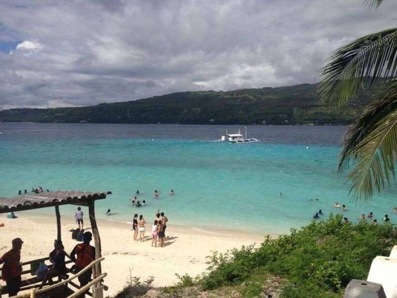 Cebu: Whale Shark Swimming, Sumilon Island and Kawasan Falls - Oslob whale shark swimming: what the 30-minute window really means