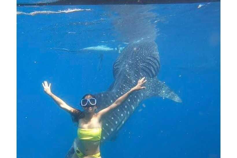 Cebu:Whale Shark, Waterfall, and Sardine Run Group Tour+Meal - Inambakan Falls Swimming: Multi-Tiered Water and Real Refreshment