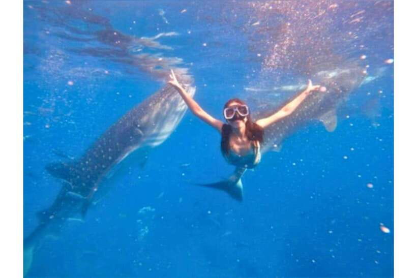 Cebu:Whale Shark, Waterfall, and Sardine Run Group Tour+Meal - Morning Pickup and the Drive to Oslob