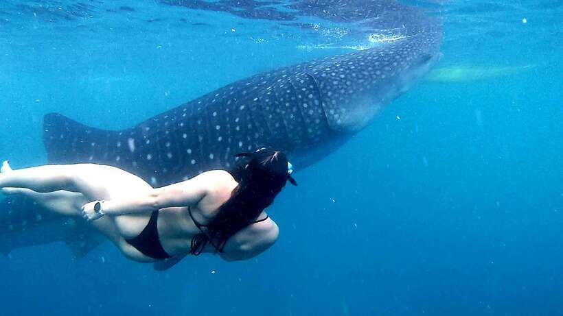 Cebu: Whale Sharks, Ka-Treasure Water Terraces & Simala Tour - Simala Church: a spiritual stop with a strict dress code