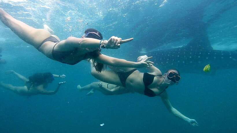 Cebu: Whale Sharks, Ka-Treasure Water Terraces & Simala Tour - Oslob whale sharks: watching, swimming, and how the wait works