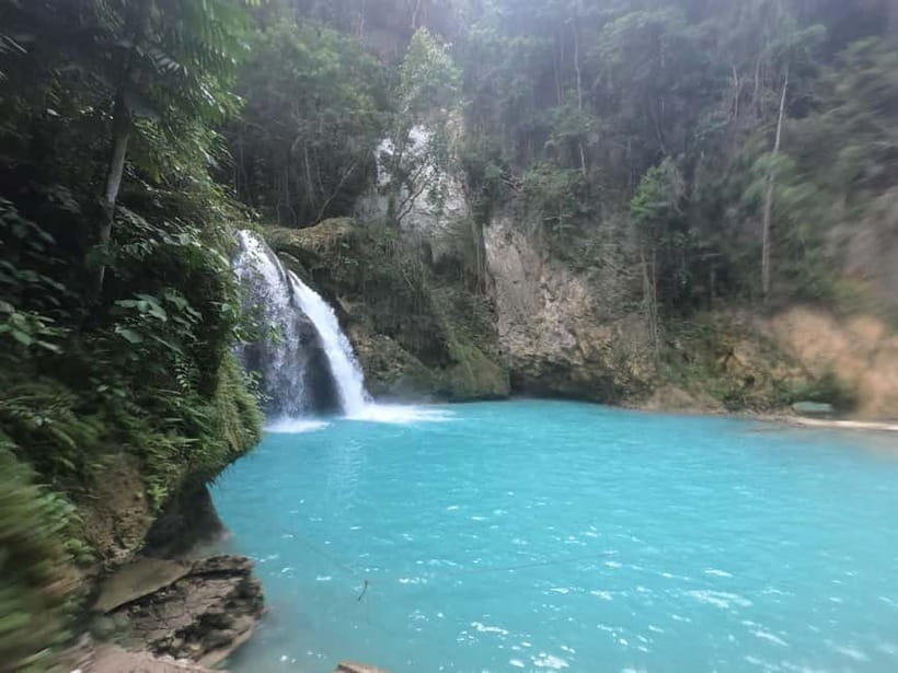Cebu: Whale Sharks, Kawasan Falls, & Sardines Run Snorkeling - Key things that make this Cebu day trip work
