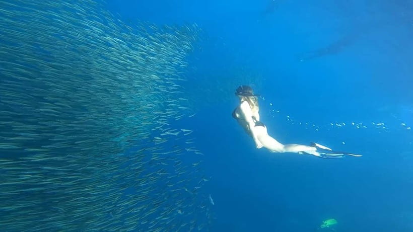 Cebu: Whale Sharks, Kawasan Falls, & Sardines Run Snorkeling - Kawasan Falls trek and turquoise swim: the reward break in a long day