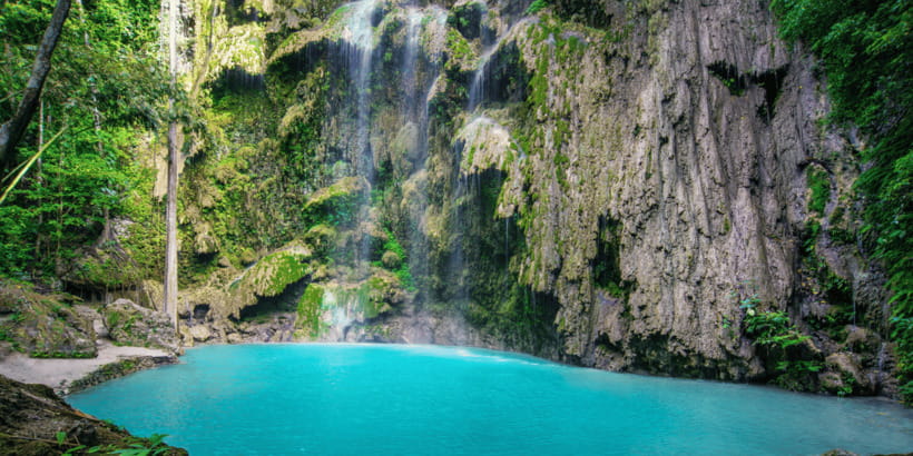 Cebu: Whale Sharks, Tumalog Falls, and Monkey Sanctuary Tour - Should you book the Cebu: Whale Sharks, Tumalog Falls, and Monkey Sanctuary tour?