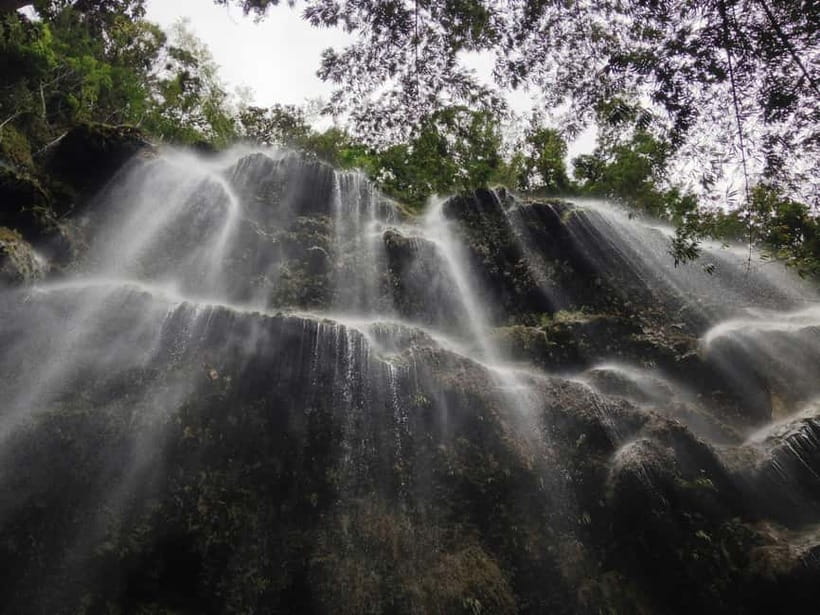 Cebu: Whaleshark Encounter, Sumilon Sandbar & Tumalog Falls - Price and value: why $108 can make sense for a one-day sampler