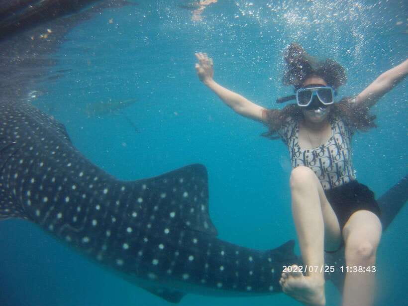 Cebu: Whaleshark Encounter, Tumalog Falls & Sumilon Sandbar - Breakfast and early energy: what to do before the sea