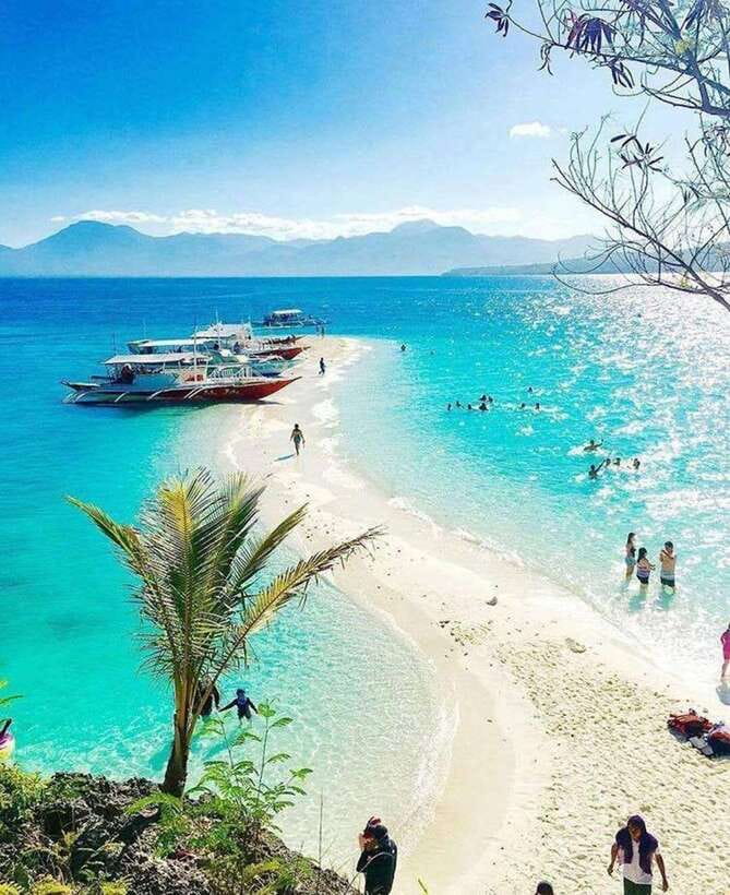 Cebu: Whaleshark Encounter, Tumalog Falls & Sumilon Sandbar - Sumilon Island snorkeling and the shifting sandbar that changes with the season