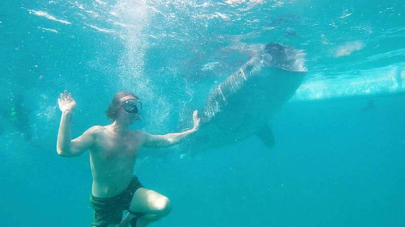 Cebu: Whaleshark Swimming & Kawasan falls Canyoneering Tour - Heading to Badian: Where the Adventure Turns Technical