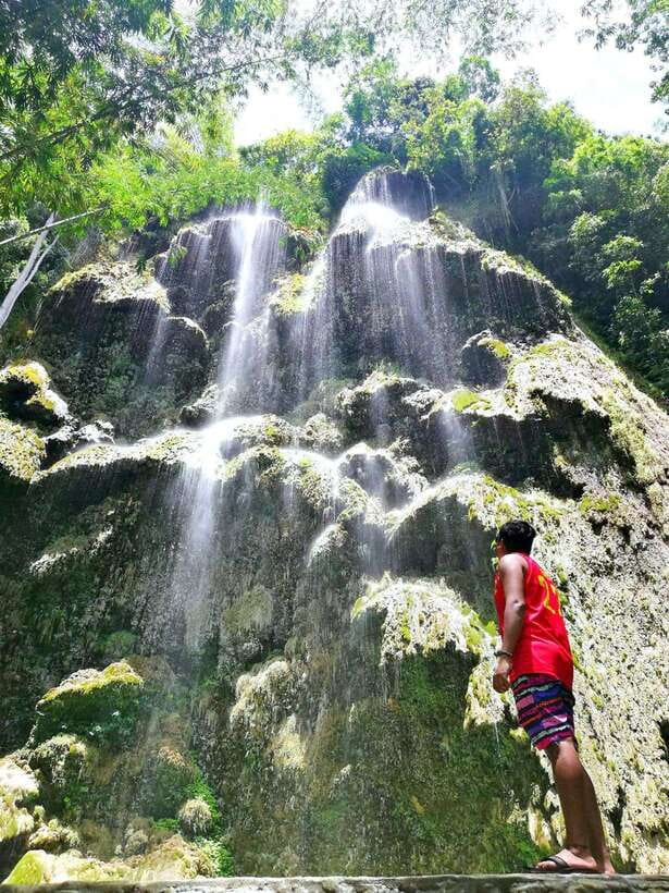 Cebu: WhaleShark , Tumalog Falls, & Sardine Run Snorkeling - Tumalog Falls swimming: the calmer stop that balances the animal day