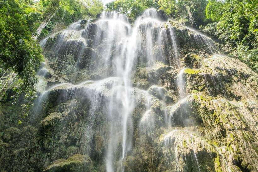 Cebu: WhaleShark , Tumalog Falls, & Sardine Run Snorkeling - Who should book this, and who should skip it