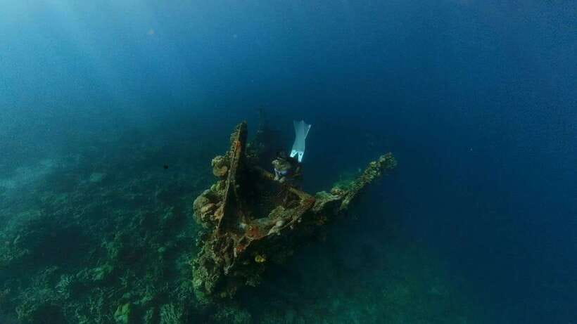 Coron: Barracuda Lake and Reef Garden Tour with Lunch - Key moments worth your time
