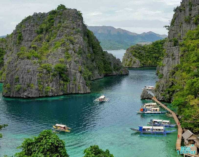 Coron: Barracuda Lake and Reef Garden Tour with Lunch - Reef Garden: corals, tropical fish, and the depth factor