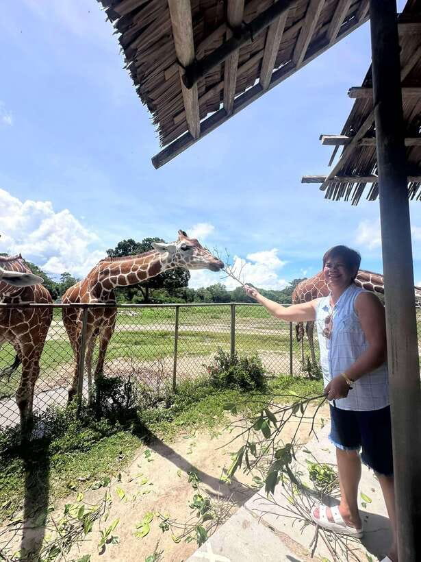Coron: Calauit Safari Black Island Lunch & Transfer included - Included Extras That Improve the Value at $94