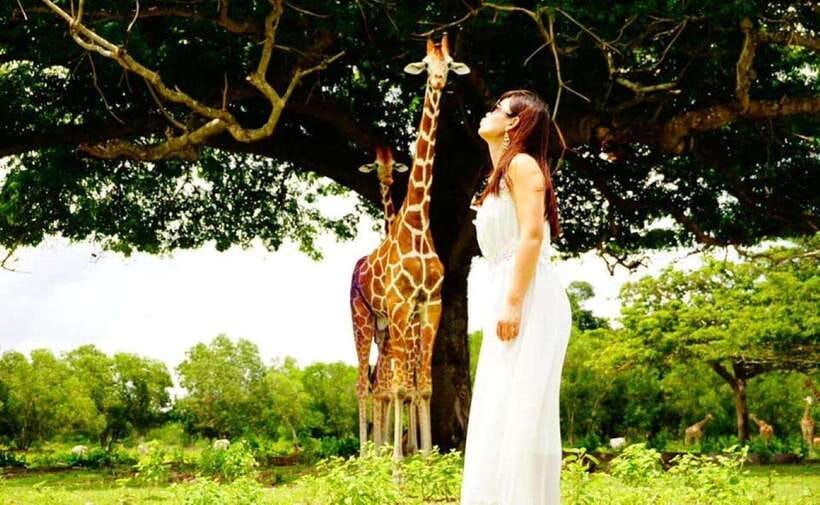 Coron: Calauit Safari Black Island Lunch & Transfer included - Calauit Wildlife Safari Park: The Sanctuary Feel and the Animal Interaction