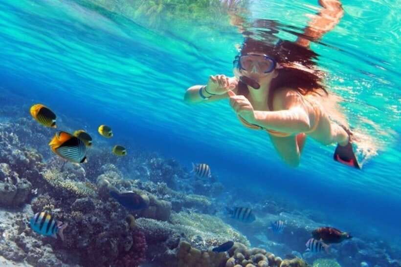 Coron: Coastal Cliffs, Beach & Malcapuya Island Hopping Tour - Key things to know before you go