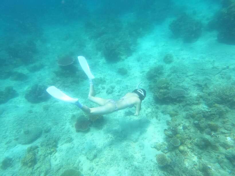 Coron: Dugong Watching with Sea Turtle and Coral Garden tour - Key highlights to know before you go