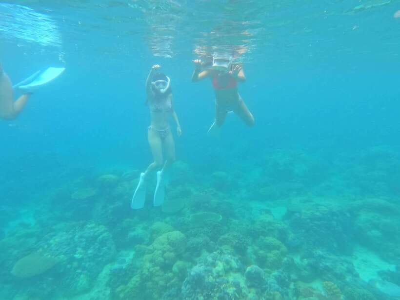 Coron: Dugong Watching with Sea Turtle and Coral Garden tour - How the dugong swim works, queue rules, and your real time in the water