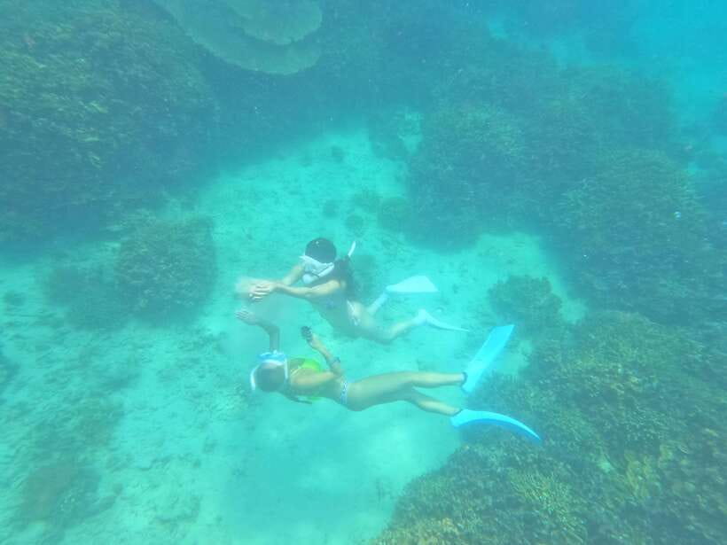 Coron: Dugong Watching with Sea Turtle and Coral Garden tour - Price and value for $155, what you actually get