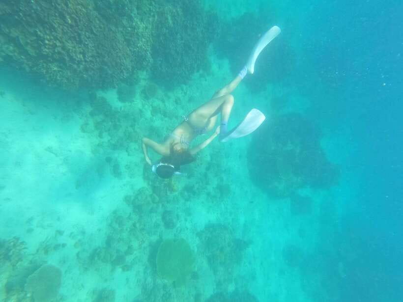 Coron: Dugong Watching with Sea Turtle and Coral Garden tour - Environmental rules you follow for the sake of dugongs and coral