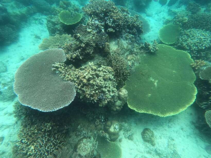 CORON:ISLAND TOUR A Lakes and Snorkeling with Corals - Guide Quality: When the Right Person Makes the Day Better