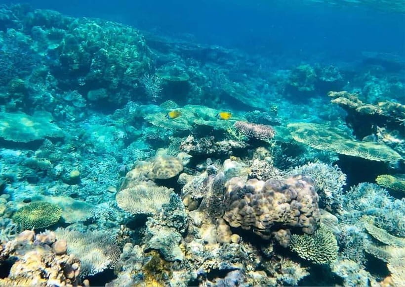 Coron: Island Tour B - Tour B in a Nutshell: timing, transport, and how the day flows