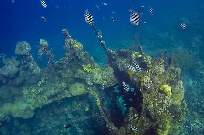 Coron Island Tour B (Private) - Key things to know before you go