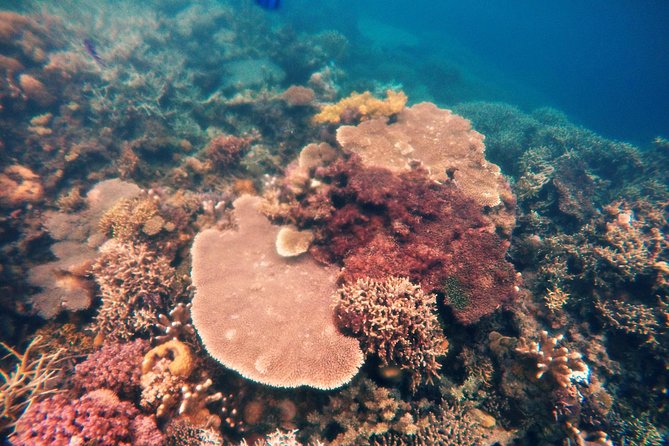 Coron Island Tour B (Shared Tour) - Barracuda Lake: your first lagoon taste and a great photo warm-up