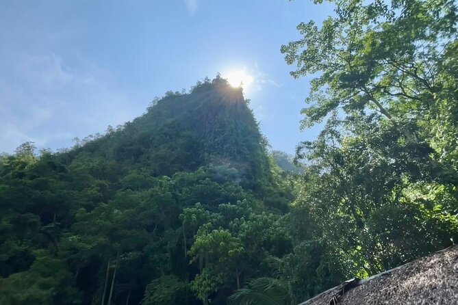 Coron Island Ultimate Tour: Private Boat and Tour Guide - Price and value: what $110 buys in Coron for an almost-whole-day plan