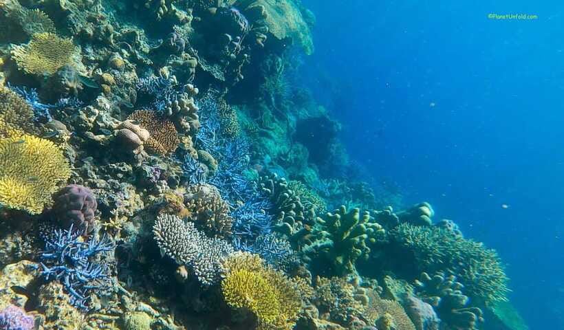 Coron Island Ultimate Tour (Private Tour) - Who This Private Tour Suits Best (and Who Should Rethink)