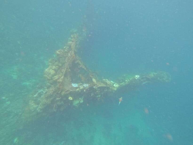 Coron: Kayangan Lake, Twin Lagoon, and Siete Pecados Tour - Skeleton Wreck: coral-covered metal frame and small entry points