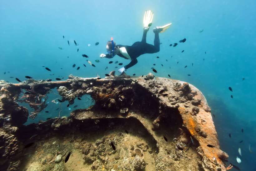 Coron Private Tour D: Reef and Wrecks - Key Highlights You Should Actually Care About