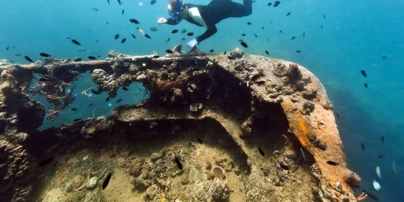 Coron Private Tour D: Reef and Wrecks - Lunch, Tropical Fruit, and Keeping Your Energy Steady