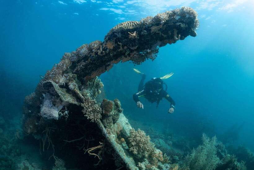 Coron Reef and Wrecks Tour (Private Tour) - Key highlights worth planning for