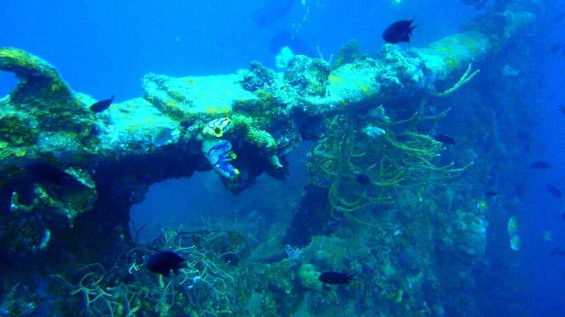 Coron Reef and Wrecks Tour (Private Tour) - Pass Island: the white-sand palate cleanser before snorkeling