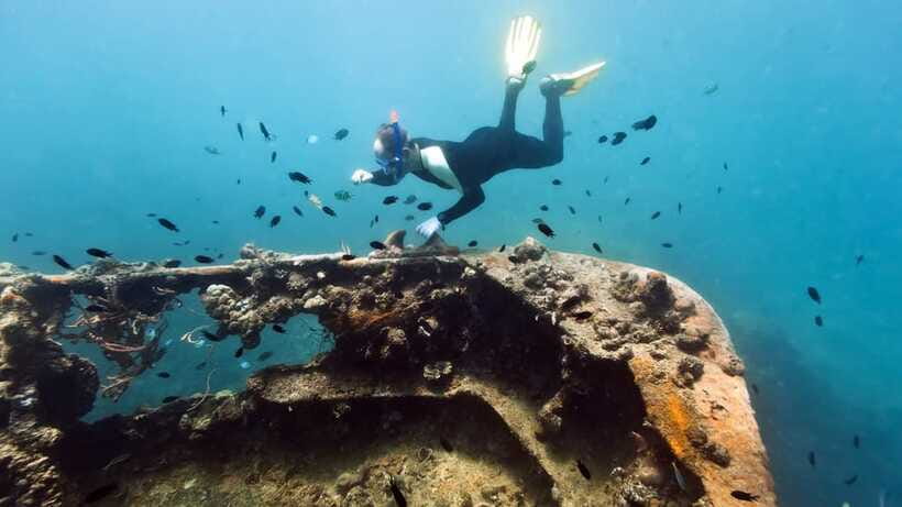 Coron Reef and Wrecks Tour (Private Tour) - Lusong Coral Garden: clear water, coral on a drop-off wall