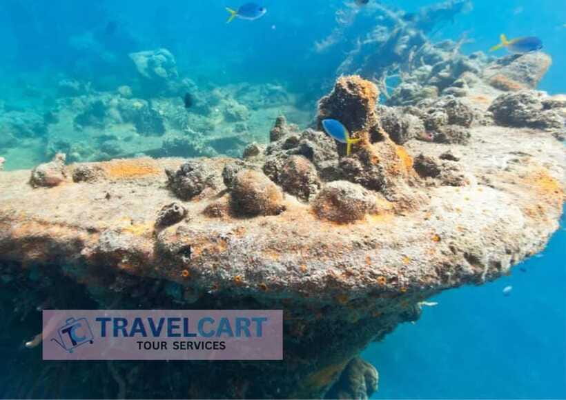 Coron Reef & Wrecks Tour - Is This Tour for You?