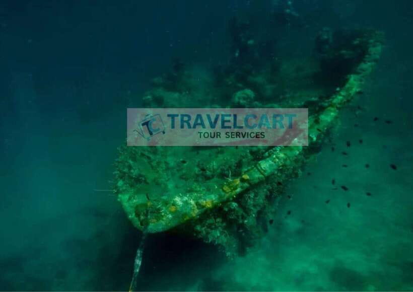 Coron Reef & Wrecks Tour - East Tangat Wreck: Artificial Reef Energy with a WWII Backstory