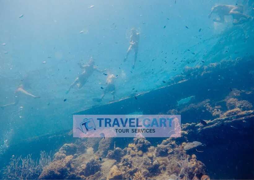 Coron Reef & Wrecks Tour - Gear Rentals and What to Bring So the Day Feels Easy