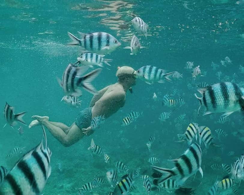 Coron: Super Ultimate 7 Destination with Lunch & Transfer - CYC Beach and Twin Peaks Coral Garden: The Final Water Push
