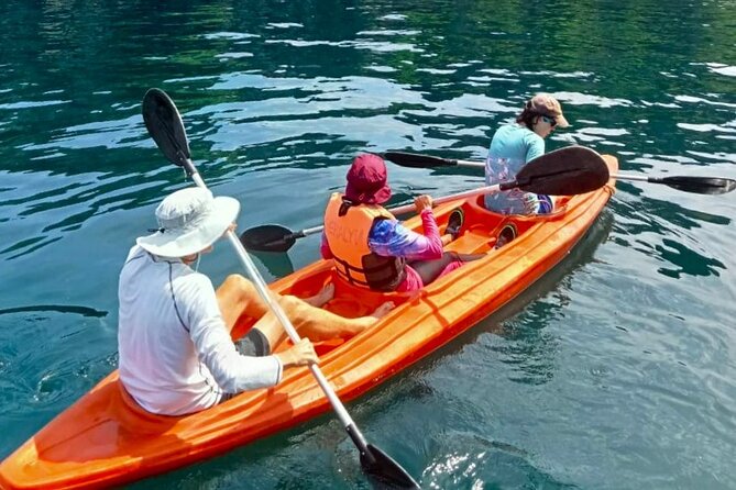Coron Ultimate Tour - Full Day Group Tour w/ Lunch - Stop 3: Coral Garden snorkeling with clear-water visibility
