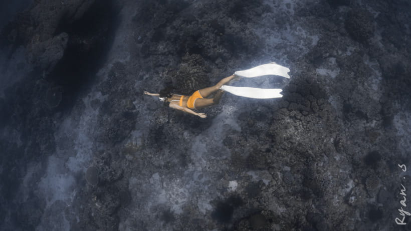 Discover Freediving in Boracay - Who Should Book This, and Who Might Want Something Else