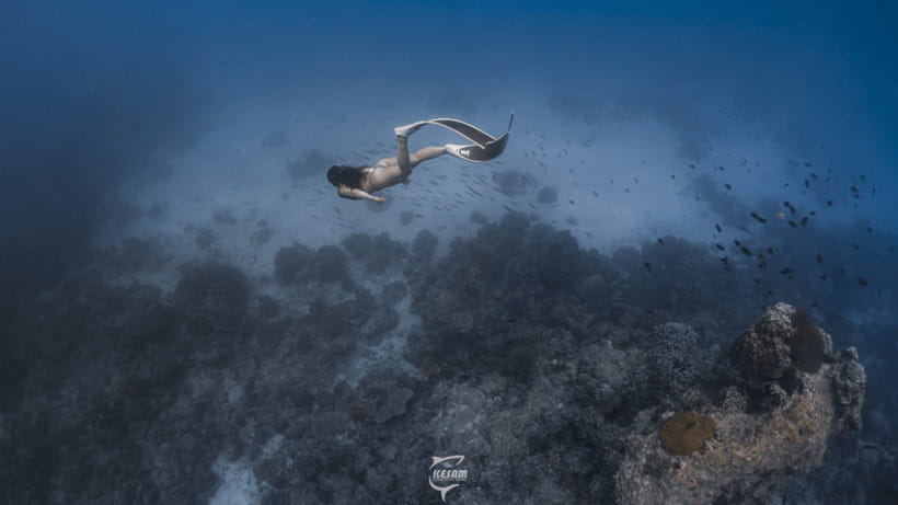 Discover Freediving in Boracay - What You Learn: Breath-Hold Control for Beginners and Skill Refinement for Returning Swimmers