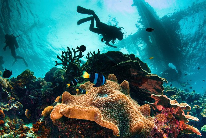 Discover Scuba Diving - Key things I’d plan around