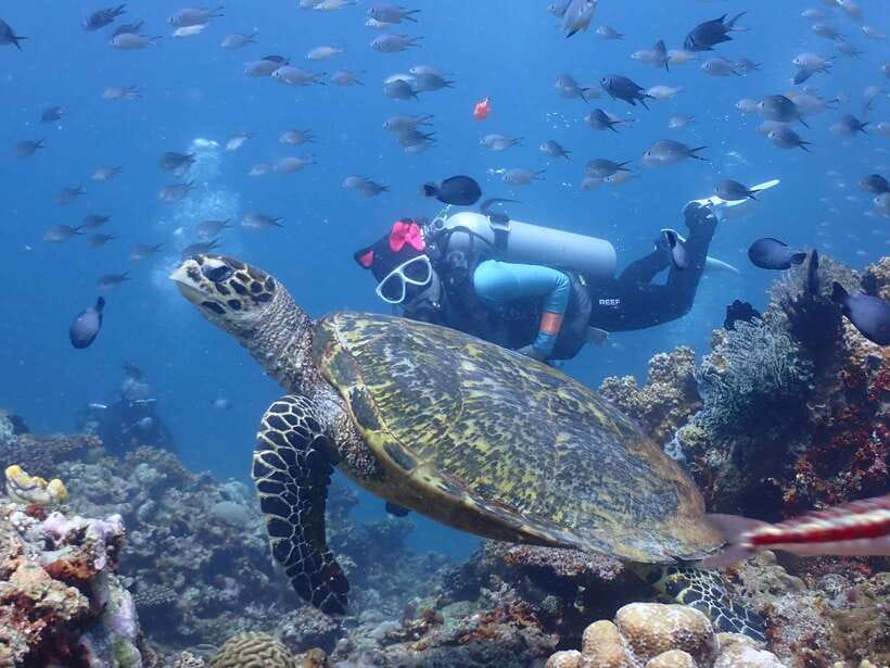 Discover Scuba Diving in Boracay - Key points to know before you go
