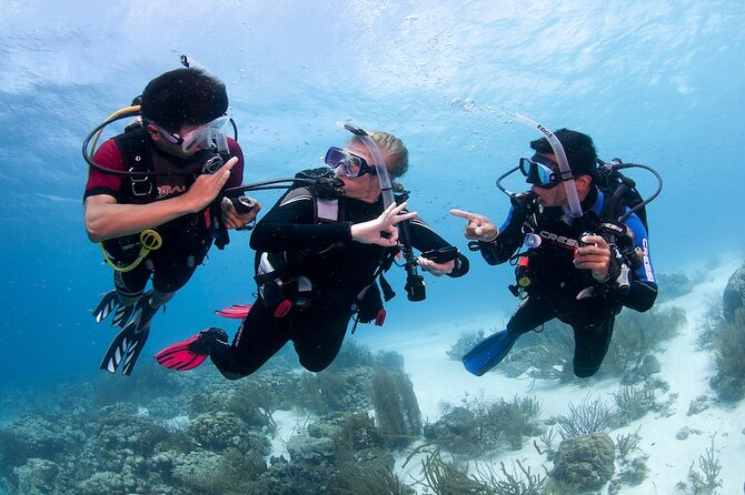 Discover Scuba Diving in Boracay with U/W Photo and Video - What PADI Teaches You First, Then Why Confined Water Makes Sense