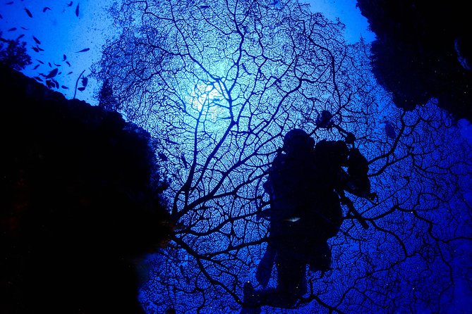 DiveGurus -Scuba Diving in Boracay - Key Things That Make This Scuba Session Work