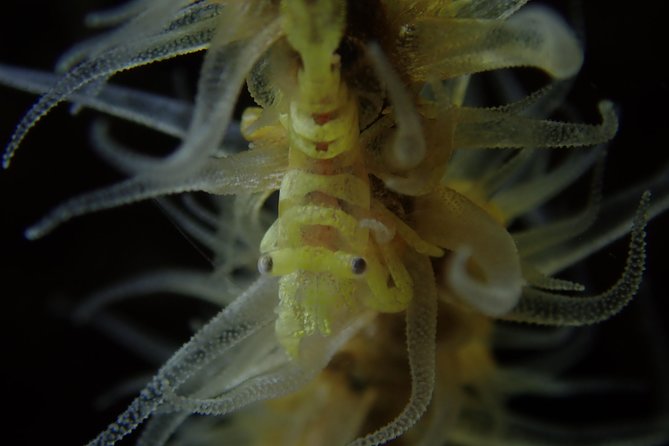 DiveGurus -Scuba Diving in Boracay - Weather and Currents: When Conditions Change, the Plan Should Still Move