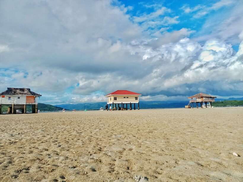 Dumaguete: Dolphin Watching & Manjuyod Sandbar Private Tour - Should you book this Dumaguete dolphin and Manjuyod sandbar private tour?