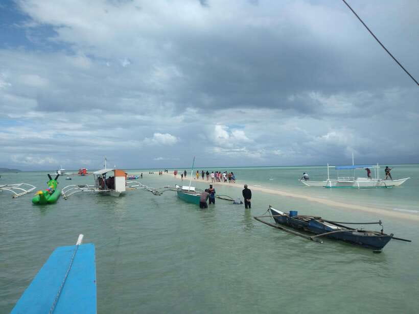 Dumaguete: Dolphin Watching & Manjuyod Sandbar Private Tour - Private tour value: why $223 for up to 3 can make sense