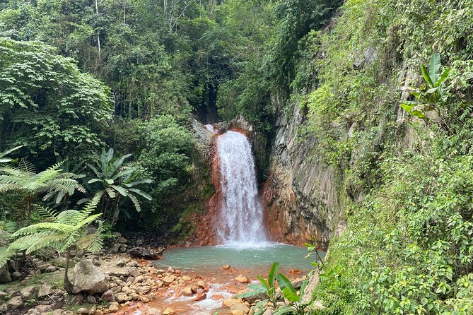 Dumaguete Tours in English - Key highlights you will actually care about